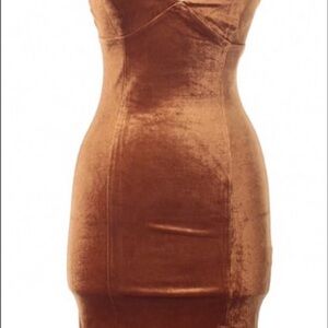Forever 21 Velvet Mini Dress in Brown